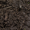 Soil